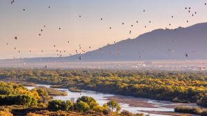 Heißluftballons über dem Rio Grande, Albuquerque, New Mexico, USA (© Jennifer MacCornack/Shutterstock)(Bing Deutschland)