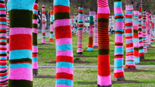 得克萨斯大学奥斯汀分校布兰顿艺术博物馆，穿“毛线袜”的树