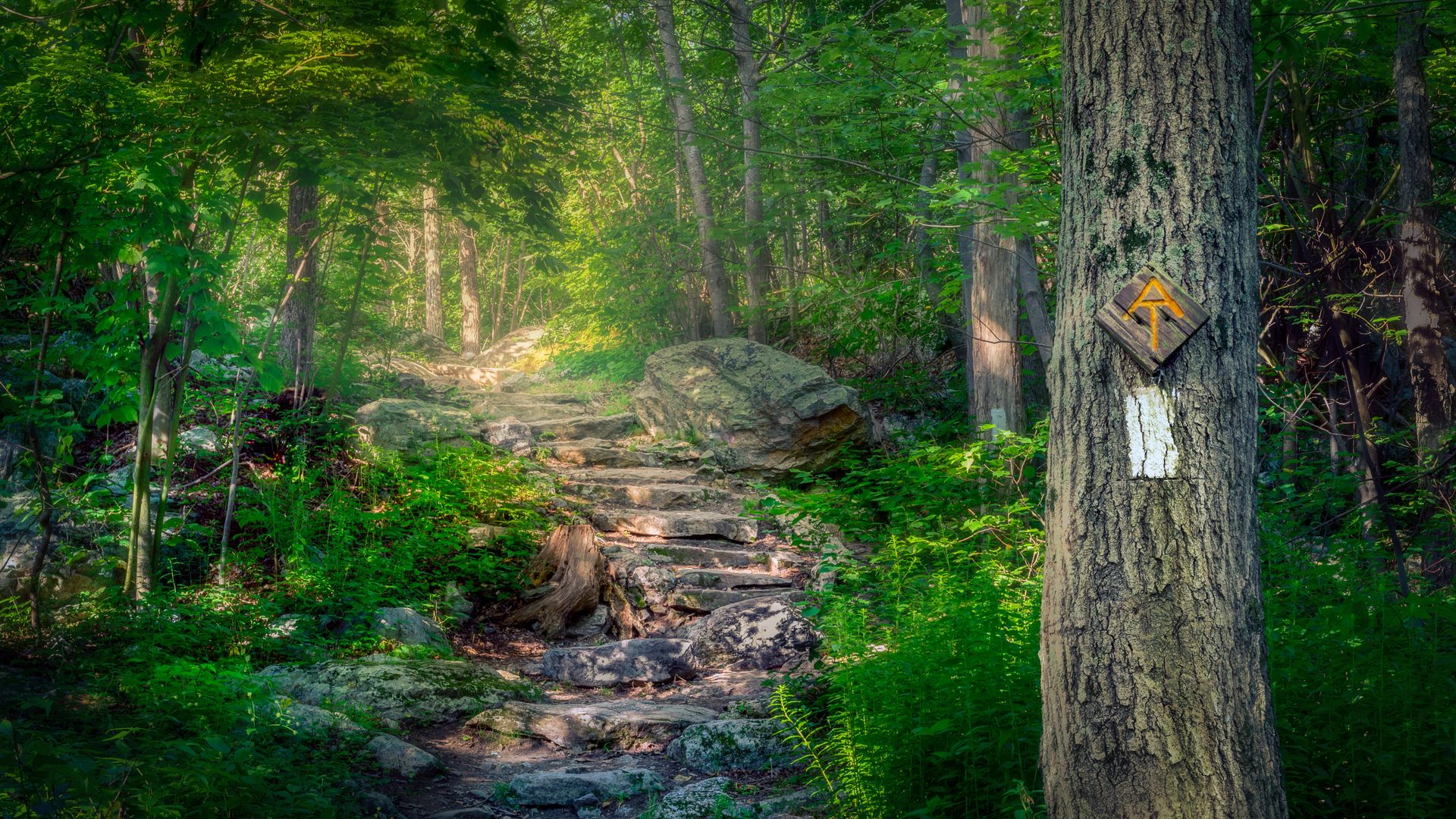 Appalachian Trail, Stokes State Forest, New Jersey, USA