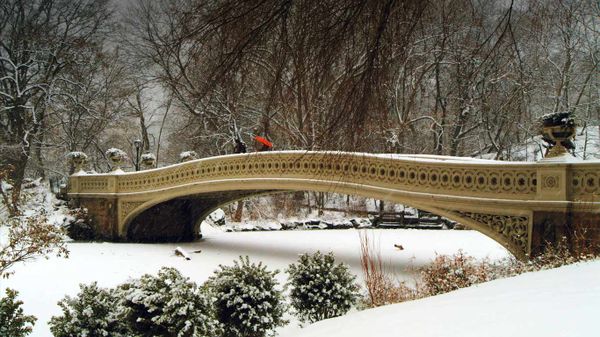 Bow Bridge in Central Park, New York City, New York, USA