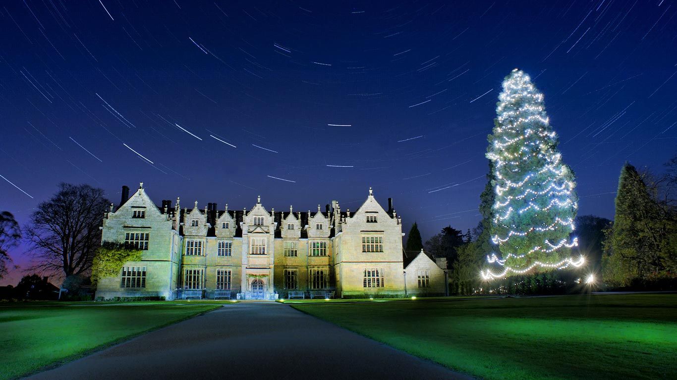 Star trails above the Christmas tree at Wakehurst, West Sussex