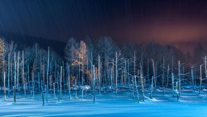 ライトアップされた青い池, 北海道 美瑛町 (© Sean Pavone/Alamy Stock Photo)(Bing Japan)