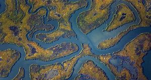 Aerial view of meandering waterways in a salt marsh on the Cape May Peninsula, New Jersey (© Ingo Arndt/Corbis) &copy; (Bing New Zealand)