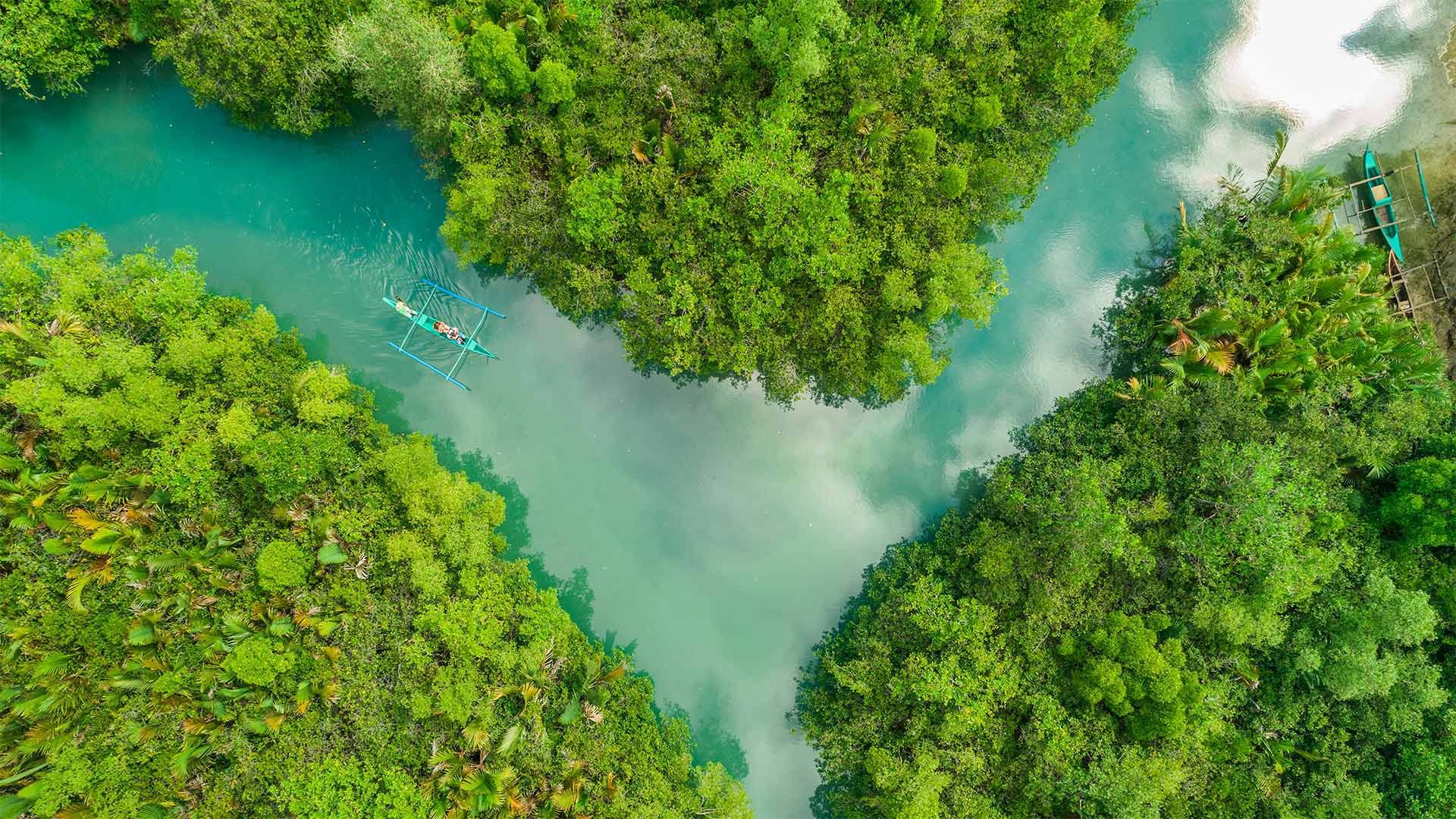 La rivière Bojo dans la province de Cebu, Philippines