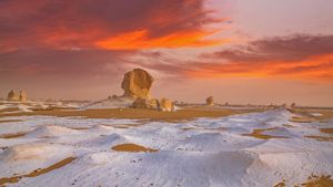 Formations rocheuses dans le désert blanc, Égypte (© Anton Petrus/Getty Images)(Bing France)