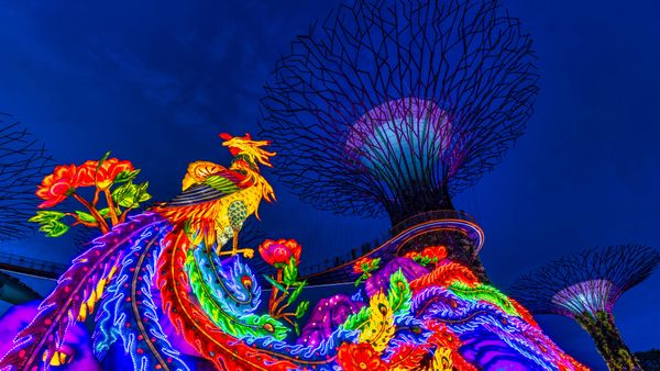 Festa di metà autunno a Gardens by the Bay, Singapore