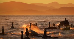 Balanced rocks in English Bay in Vancouver, British Columbia, Canada -- Rudy Sulgan/Corbis &copy; (Bing New Zealand)
