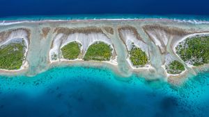 トゥアモトゥ諸島にあるカウエヒ環礁, フランス領ポリネシア (© WaterFrame/Alamy)(Bing Japan)