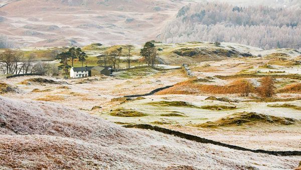 Hoar frost on vegetation near Coniston, Lake District