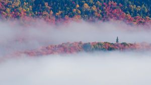 Fall foliage in Mont-Tremblant National Park, Quebec (© Mircea Costina/Alamy Stock Photo)(Bing Canada)