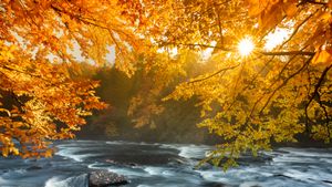 River rapids in Algonquin Provincial Park, Ontario (© Pgiam/Getty Images)(Bing Canada)