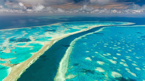 Great Barrier Reef, Queensland, Australia