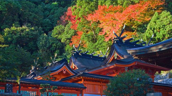 ｢熊野那智大社｣和歌山県