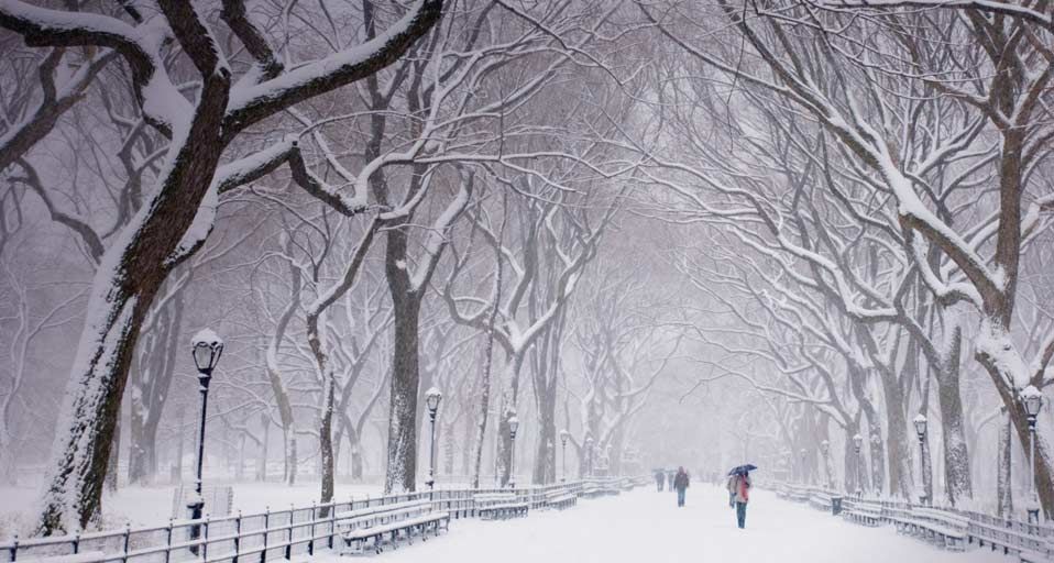 Snow covered trees and benches in Central Park, New York City