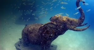Stone Elephant, Ko Racha Yai, Phuket, Thailand - Tim Rock/Photolibrary &copy; (Bing United Kingdom)