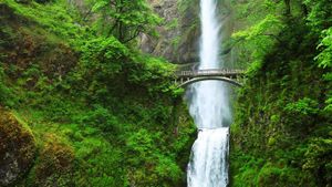 ｢マルトノマ滝｣アメリカ, オレゴン州 (© Getty Images)(Bing Japan)