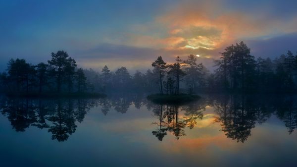 A wetland in Västmanland, Sweden