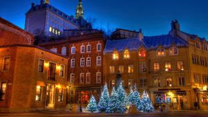Christmas trees in Old Quebec (© Jean Surprenant/Getty Images)(Bing Canada)