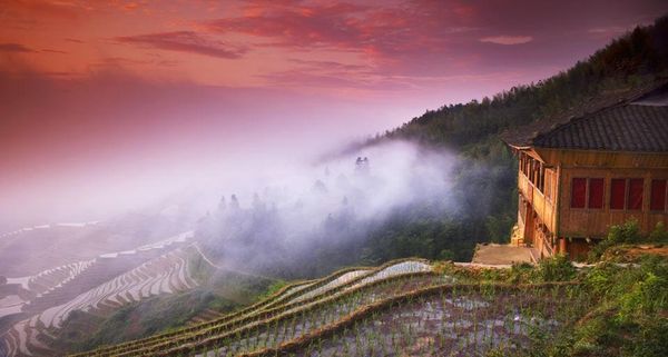 TerracedRiceFieldDawn