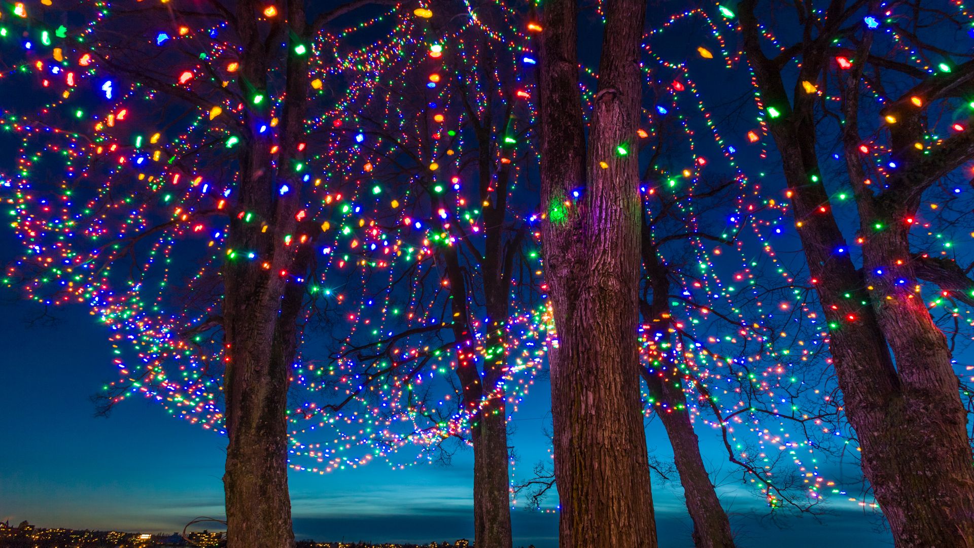 Christmas lights on trees at dusk, Vancouver, Canada
