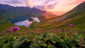 阿尔高阿尔卑斯山脉的Schrecksee湖，德国巴伐利亚 (© Andreas Hagspiel/EyeEm/Getty Images)(Bing China)