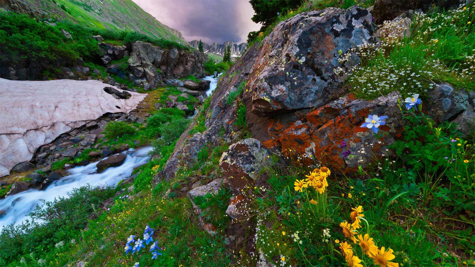 American Basin in southern Colorado\'s San Juan Mountains