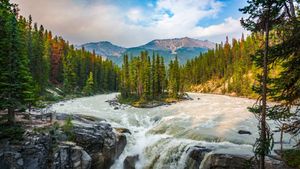 ｢サンワプタ滝｣カナダ, ジャスパー国立公園 (© Schroptschop/Getty Images)(Bing Japan)
