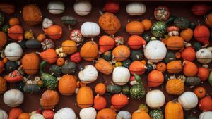 Different kinds of pumpkins and gourds (© davidfillion/Getty Images)(Bing Canada)