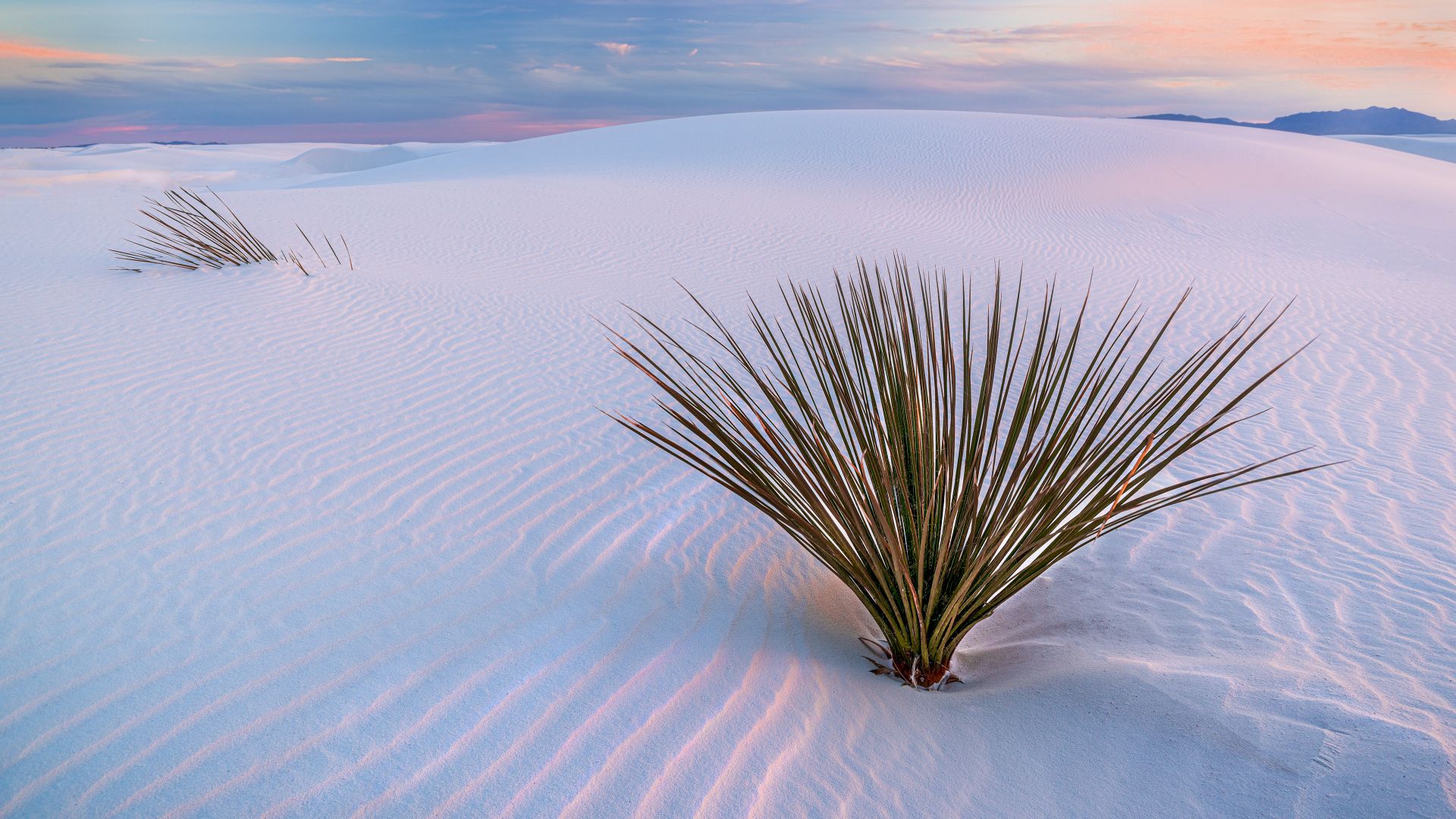 Parc National des White Sands, Nouveau-Mexique, États-Unis