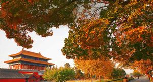 北京故宫博物院 (© TAO Images Limited/Getty Images) &copy; (Bing China)