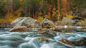 Merced River in Yosemite National Park, California (© Robb Hirsch/Tandem Stills + Motion)(Bing United States)