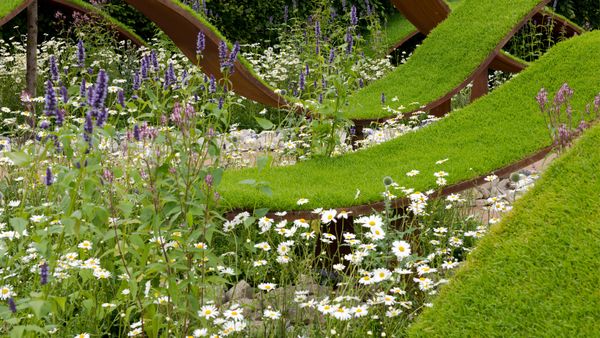 The World Vision Garden at The Hampton Court Palace Flower Show 2016