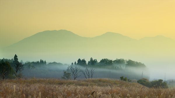 ｢蒜山高原のススキ野原｣岡山, 真庭市