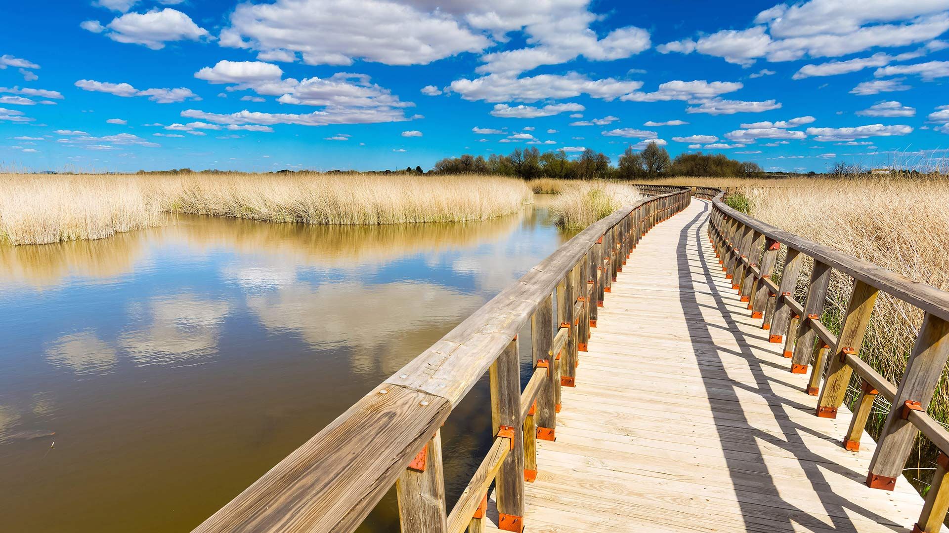 Bridge over Las Tablas de Daimiel National Park wetland, Ciudad Real, Spain