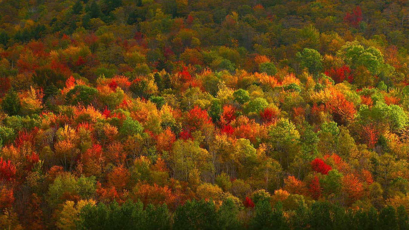 Fall foliage in Hudson Valley, New York
