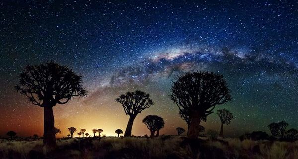 Milky Way, over the Quiver Tree Forest, Namibia