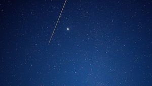 はやぶさ 2 から切り離されたカプセル (© MORGAN SETTE/Getty Images)(Bing Japan)
