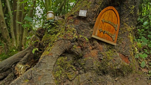 Ashdown Forest, home of Winnie-the-Pooh, England