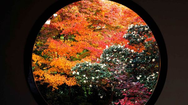 Circular window at Genko-an Temple, Kyoto, Japan