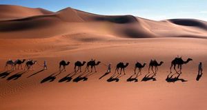 经过撒哈拉沙漠的骆驼商队 (© Frans Lemmens/Super Stock) &copy; (Bing China)
