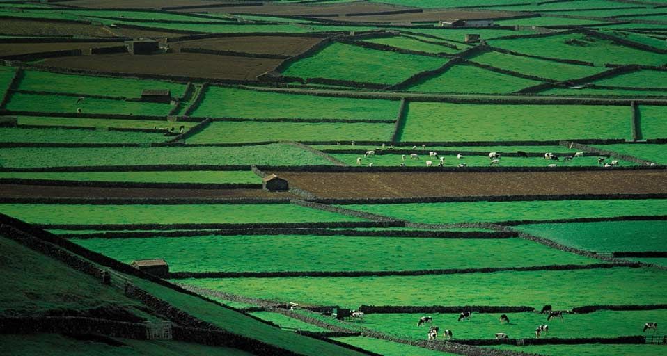 Farmland with stone walls on Terceira Island in the Azores, Portugal