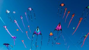 阿德莱德国际风筝节，澳大利亚 (© Andrey Moisseyev/Alamy)(Bing China)