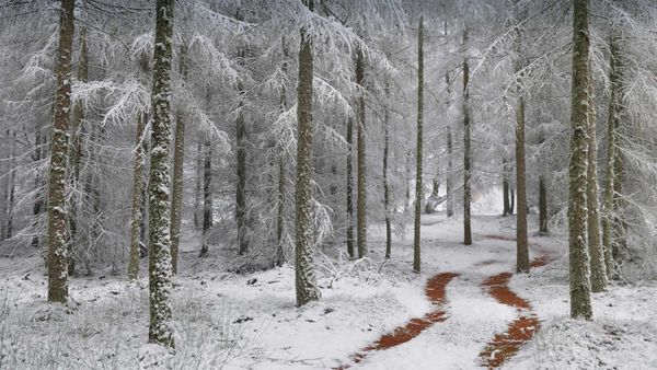 Regionaler Naturpark Vosges du Nord, Frankreich