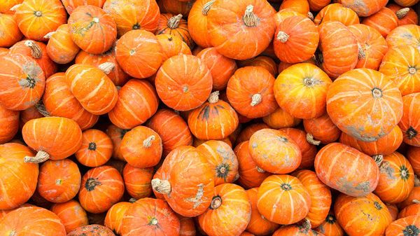 Sunshine squash at a farm produce market