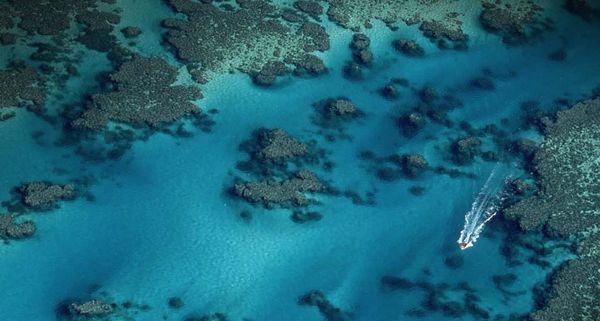 Great Barrier Reef, between Cairns and Townsville Australia