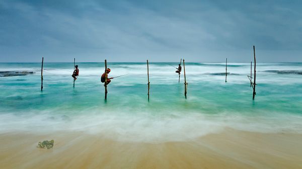 Stilt fishing in Koggala, Sri Lanka
