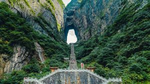 张家界天门山，中国 (© Bogdan Dyiakonovych/Shutterstock)(Bing China)