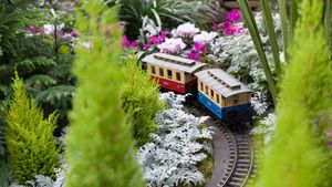 Train surrounded by Christmas flowers at Allan Gardens Conservatory, Toronto (© bruno135_406/Adobe Stock)(Bing Canada)