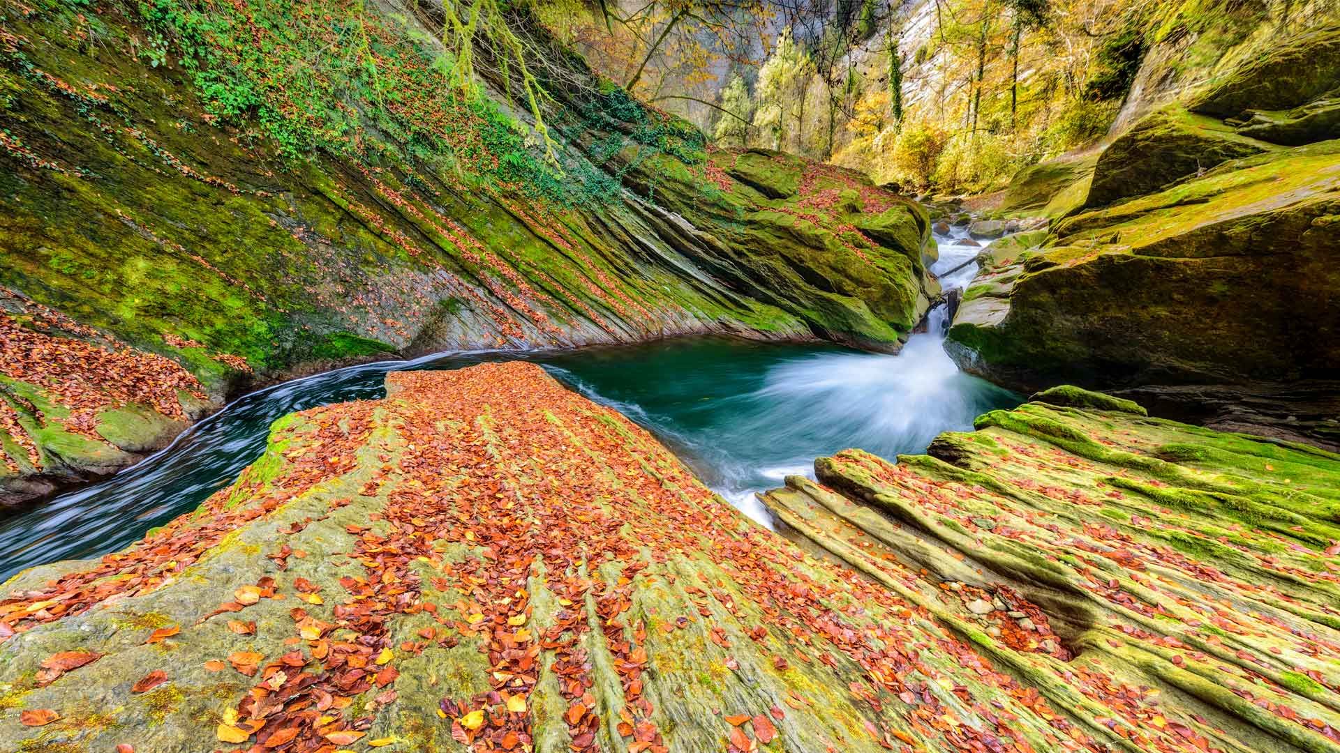 Le torrent Chéran s’écoulant au milieu des Alpes, Savoie