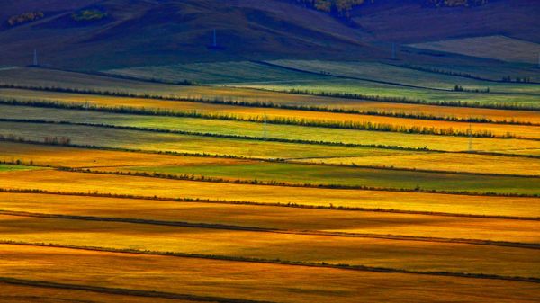 Hulunbuir grasslands, Inner Mongolia, China